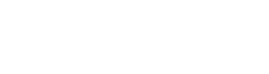 logo de website