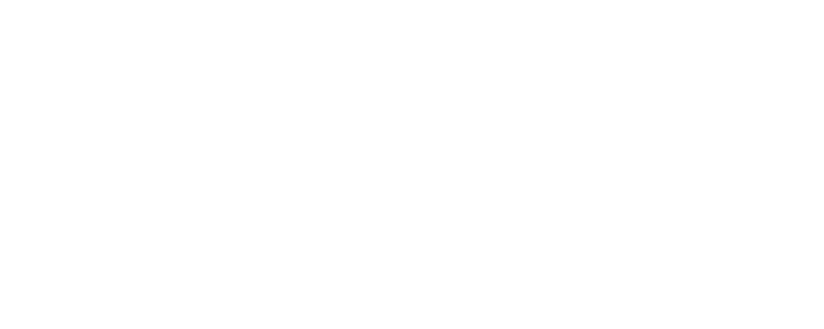logo de website